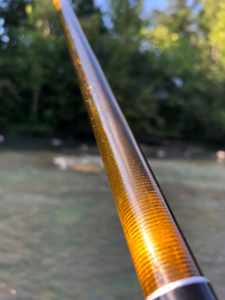 Rod showing yellow highlights in the sunlight