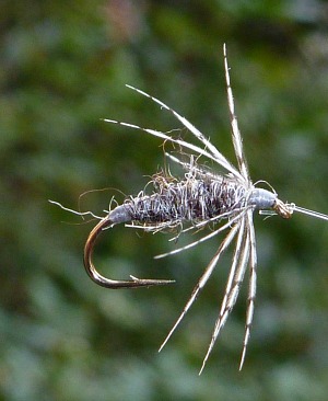 Soft hackle fly tied with partridge breast feather and Shaela yarn