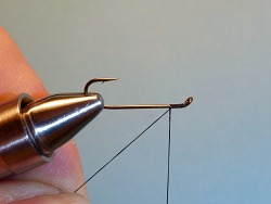 Hook in vise, upside down (shank on the bottom, point on the top).