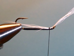 White bucktail tied in (will be the fly's white belly).