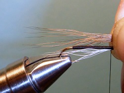 Brown bucktail held over shank, ready to get tied in.