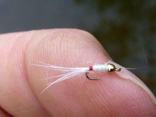 Small white Killer Bugger with gold tungsten bead.