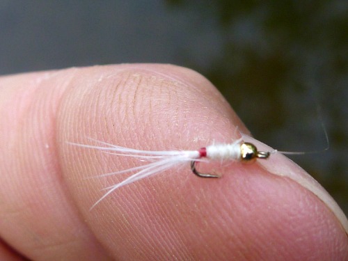 White Bead Head Killer Bugger. Size 26 hook, 1/16" gold bead, white yarn and white marabou tail.