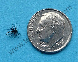 Size 26 Stewart Black Spider with dime for scale