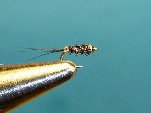 Black Killer Bugger tied on Tiemco size 32 hook