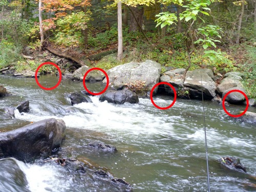 Photo showing several small bank eddies, highlighted with red circles