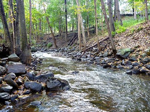 Small, relatively narrow stream