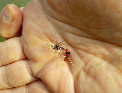 Tattered tenkara fly