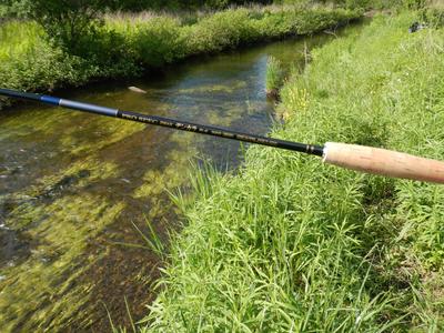 Southern Ontario Tenkara Brookies