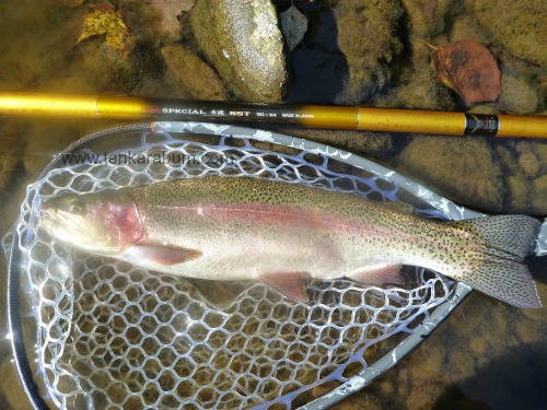 Suntech Salmon Rod