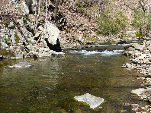 Pool in a small stream