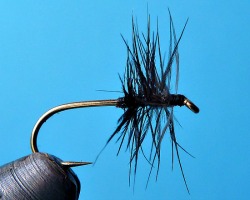 Stewart Black Spider tied the way WC Stewart would have tied it - half the hook shank bare