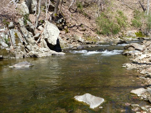 Large pool in small stream