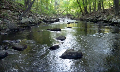 Small rocky stream