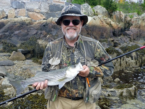 Angler holding a striper caught with the Red Dragon carp rod.