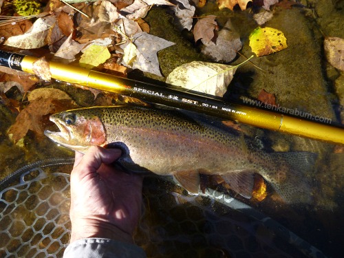 Suntech Suikei Special Honryu 90 and rainbow trout.