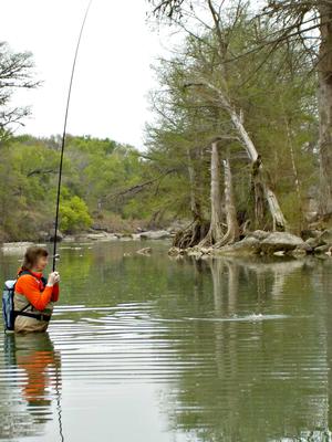 The Field Master has enough backbone for channel catfish.