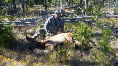 Elk - the primary goal of the trip