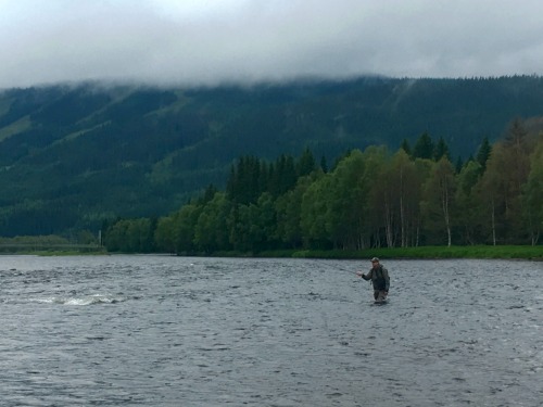 Angler fishing in middle of wide river.