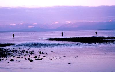 Shallow salt waters offer many different species of fish.