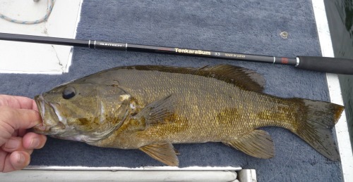 TenkaraBum 33 and smallmouth bass on boat deck.