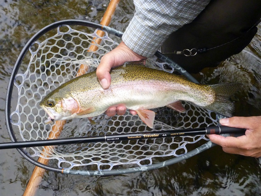 Angler holding nice rainbow trout and TenkaraBum Traveler 44 over a net