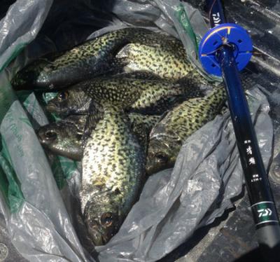 That's Mr. Crappie Pole to You