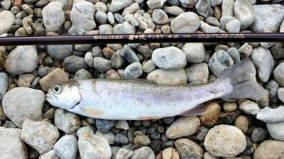 A five-year-old's first rainbow?