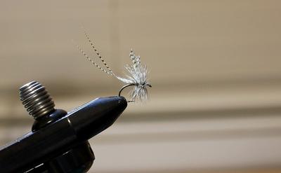 Completed Two-Feather Fly or Hatchmaster