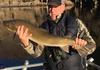 Monster Bull Trout!