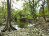 Great little spot less than a half-hour from downtown San Antonio