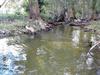 This nice stretch is normally a dry creek bed.