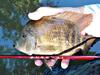 Feeling Stressed? Go Fishing.