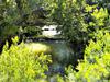 One of my favorite tenkara creeks runs beneath a foot bridge in an urban park.