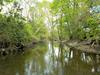 Urban Creek Near San Antonio, Texas