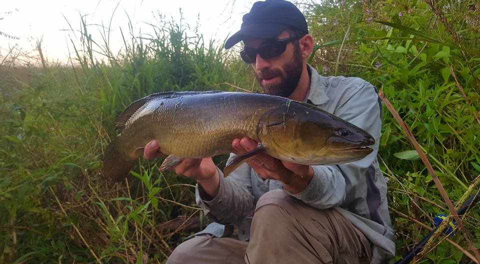 Angler holding bowfin