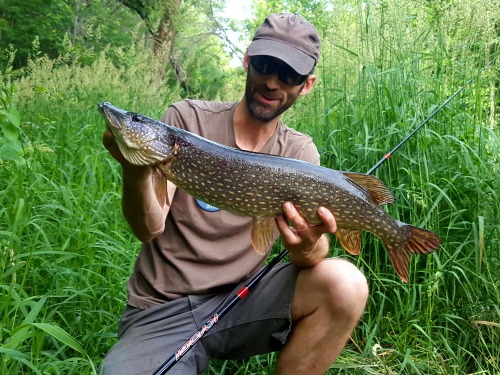 Angler holding pike