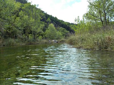 My idea was to follow the length of a spring-fed creek . . .