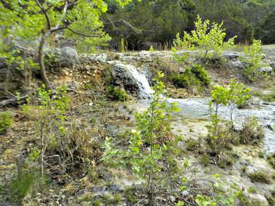 Along the way I found beautiful little waterfalls . . .