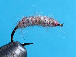 Utah Killer Bug in the vise