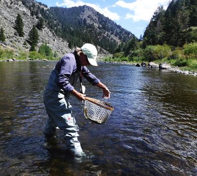 Another good Big Hole rainbow