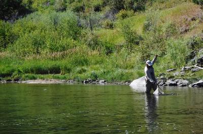 The trico hatch is perfect for tenkara