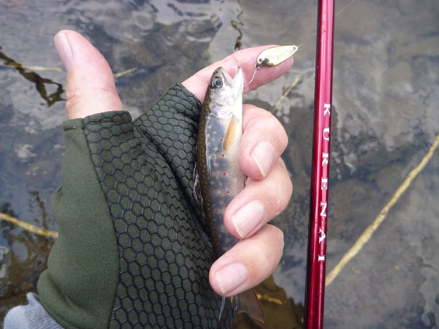 Kurenai rod, small brookie and micro spoon