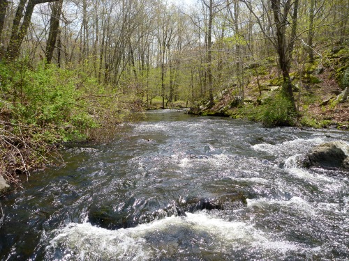 Small stream with just enough access to fish from the bank