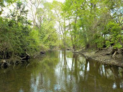 Urban Creek Near San Antonio, Texas