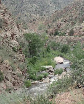 Rocks and Willows