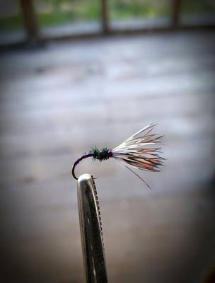 Purple thread kebari with a simple peacock hurl thorax.