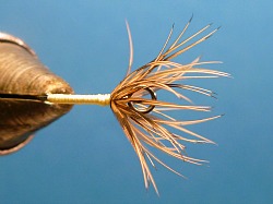 Fly tied on Wide Eyed hook - top view.