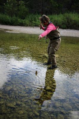 Another Sunfish Falls Prey to Robin's Killer Bug