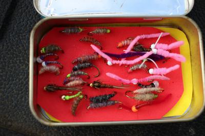 Robin's Selection of Flies